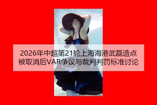 nian-zhong-chao-di-lun-shang-hai-hai-gang-wu-lei-zao-dian-bei-qu-xiao-hou-zheng-yi-yu-cai-pan-pan-fa-biao-zhun-tao-lun-2-217.jpg