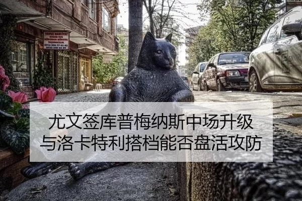 尤文签库普梅纳斯中场升级 与洛卡特利搭档能否盘活攻防
